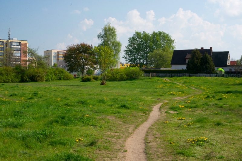 Fridolin Welti Rettungsschirme 2014